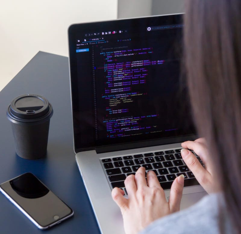 Servicios de diseño y desarrollo web por desmanes